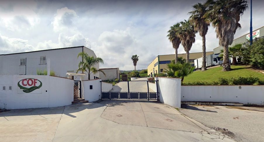 Vibo, le manovre “sospette” del gruppo Barbieri: debiti Iva e agganci in politica per salvarsi dal crack