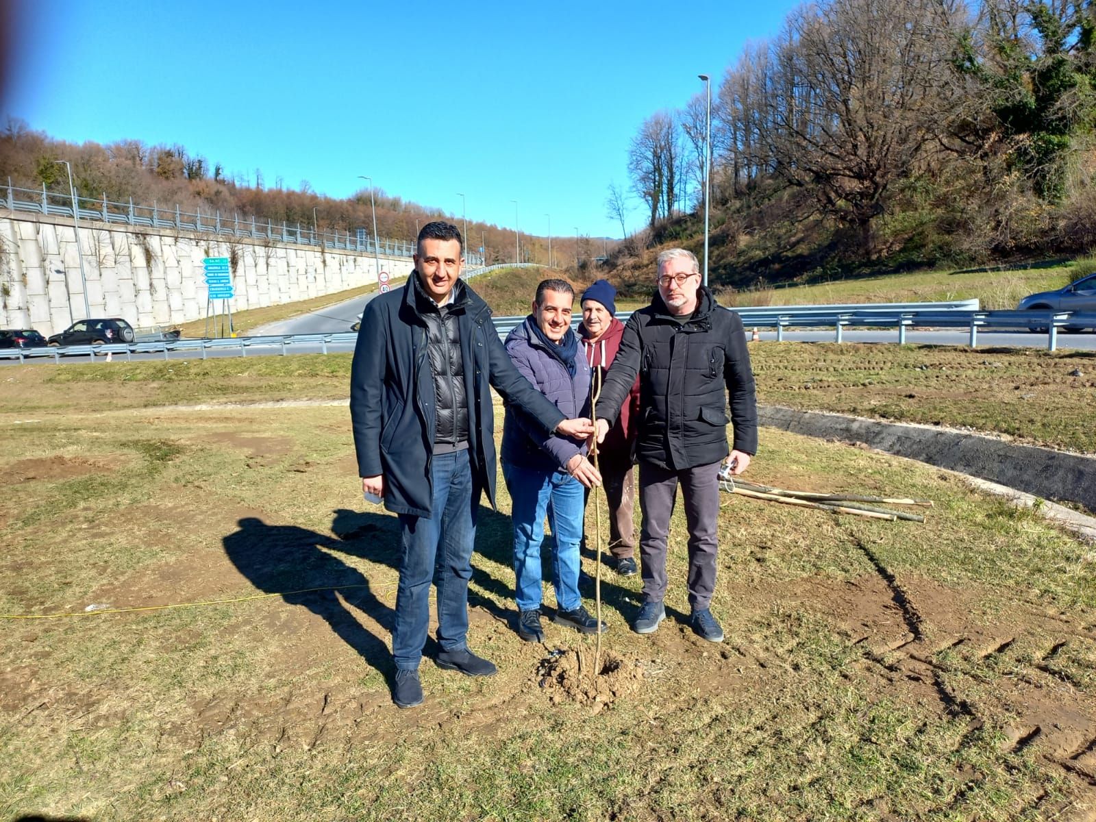 Piante di nocciolo all’uscita Cardinale-Torre della Trasversale delle Serre
