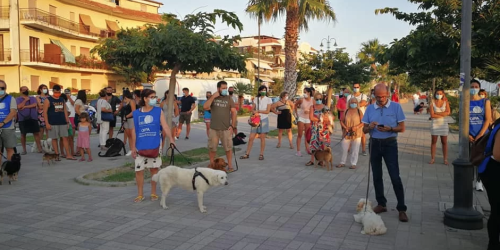 cani protesta Falerna