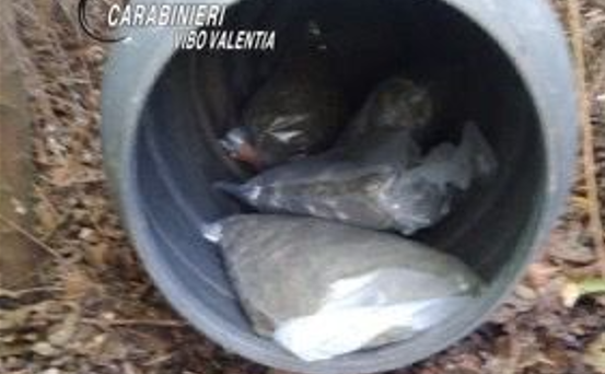 Trovati nel Vibonese 4 chilogrammi di marijuana. Erano stipati in un bidone di plastica