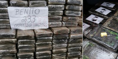 ’Ndrangheta, da Torino i contatti con i narcos per la cocaina degli Alvaro tra Brasile e Panama. «I turruna i stannu ’ncartandu»