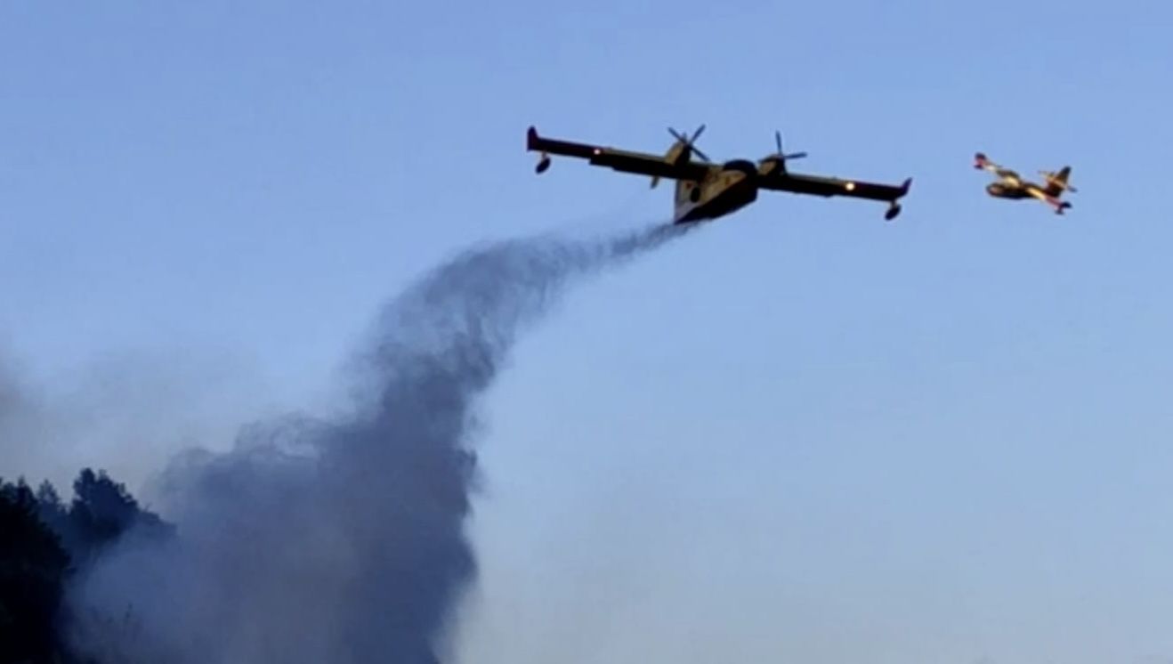 Incendio boschivo nel Catanzarese, sul posto due canadair – FOTO
