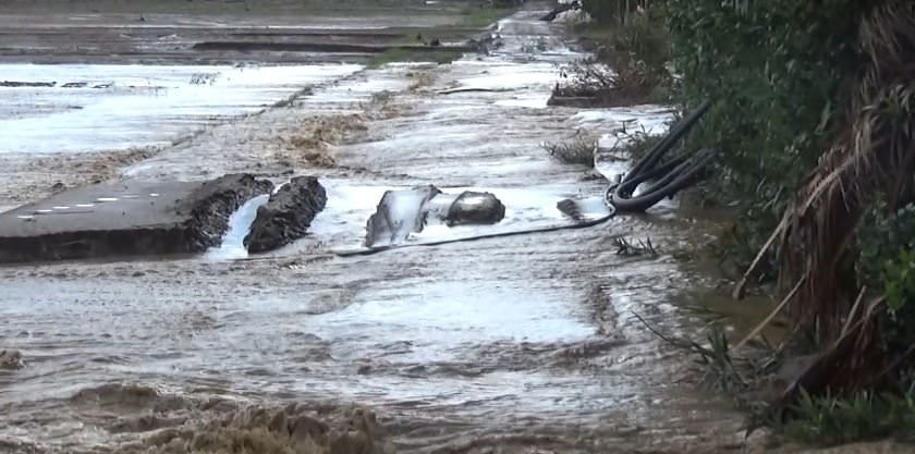 Reggio Calabria, contributi alle aziende agricole colpite dall'alluvione del 2015