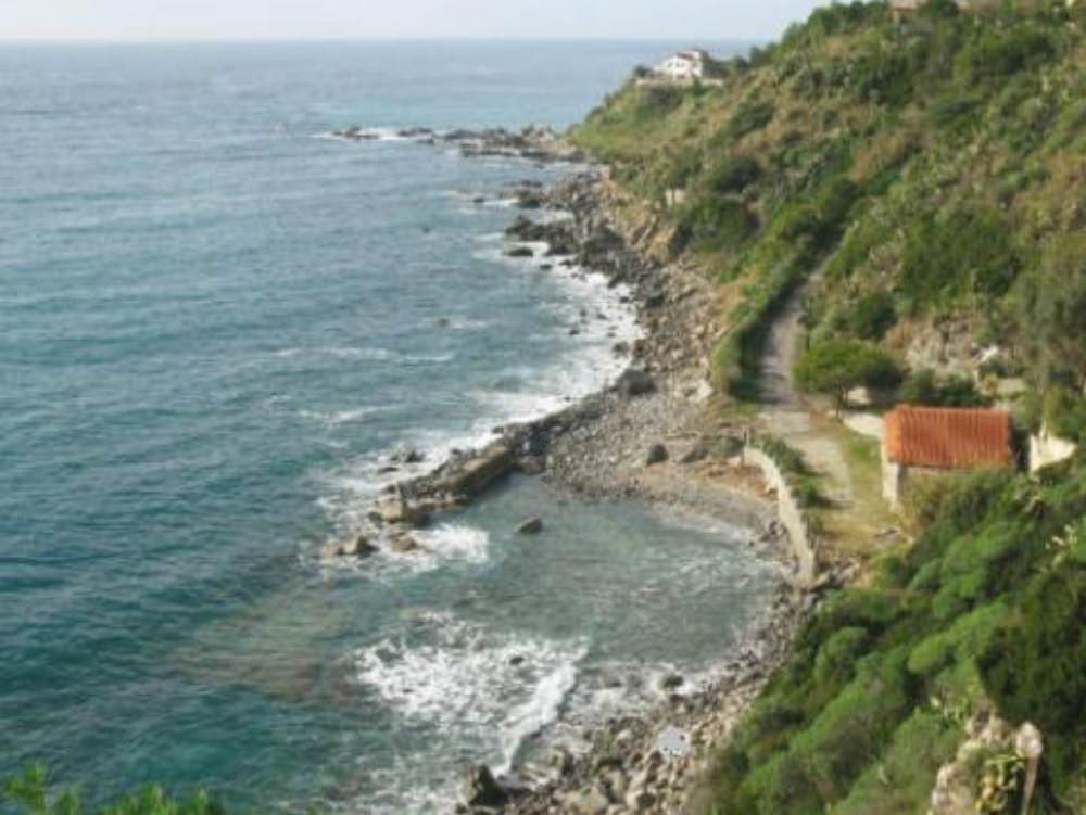 Sub investito da un motoscafo: ferito gravemente