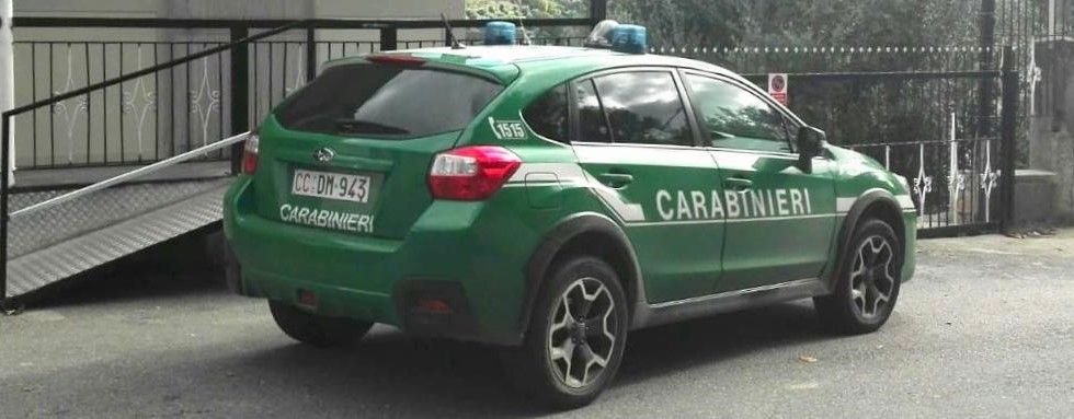 Contributi percepiti indebitamente, una denuncia per truffa aggravata ai danni di Parco dell’Aspromonte e Calabria Verde