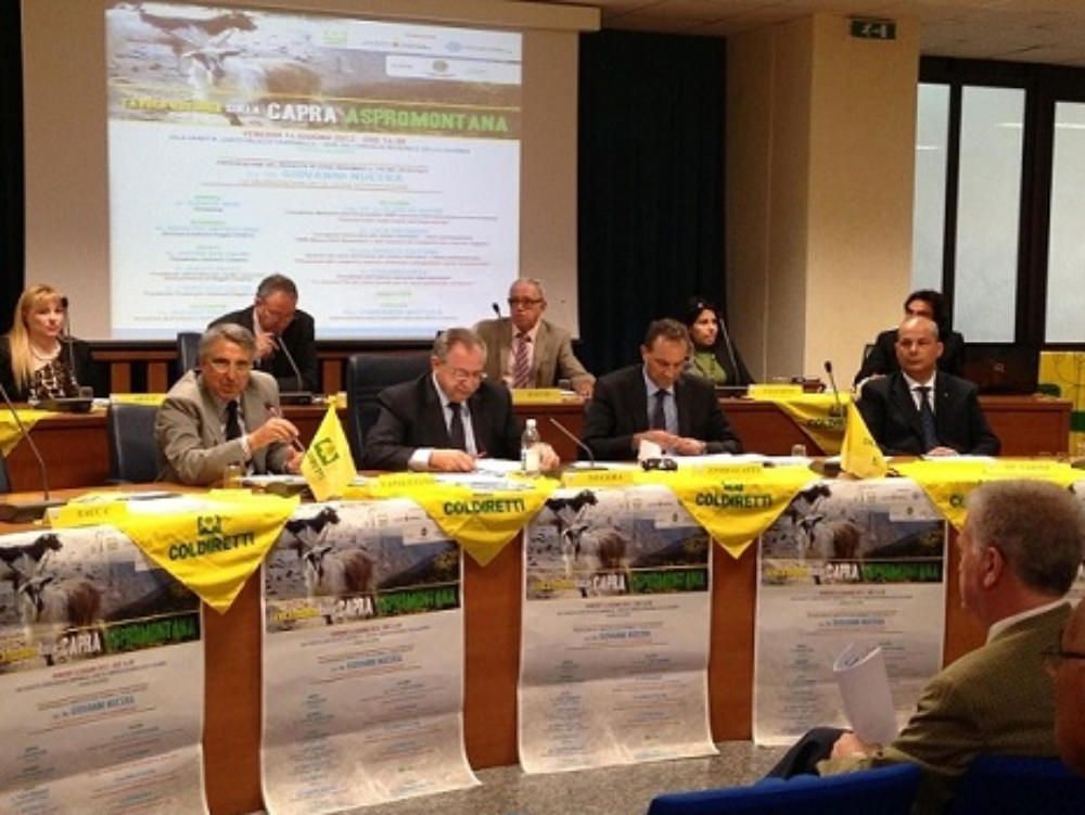 Una legge per valorizzare le capre aspromontane