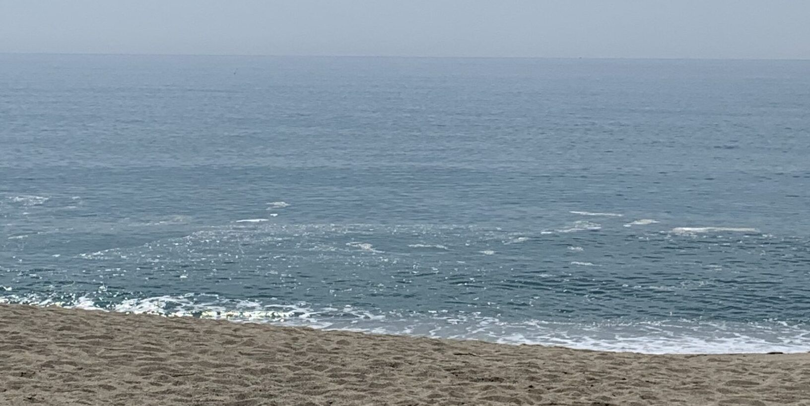 Filcams Cgil: «Pessime condizioni del mare, turismo a rischio». Montuoro: «Polemica fuori luogo»