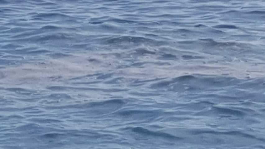 Mare a Corigliano Rossano, escherichia coli fuori dai limiti in 13 punti