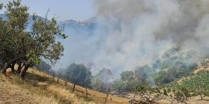 Incendio a sud di Cosenza, evacuate alcune abitazioni: Canadair in azione