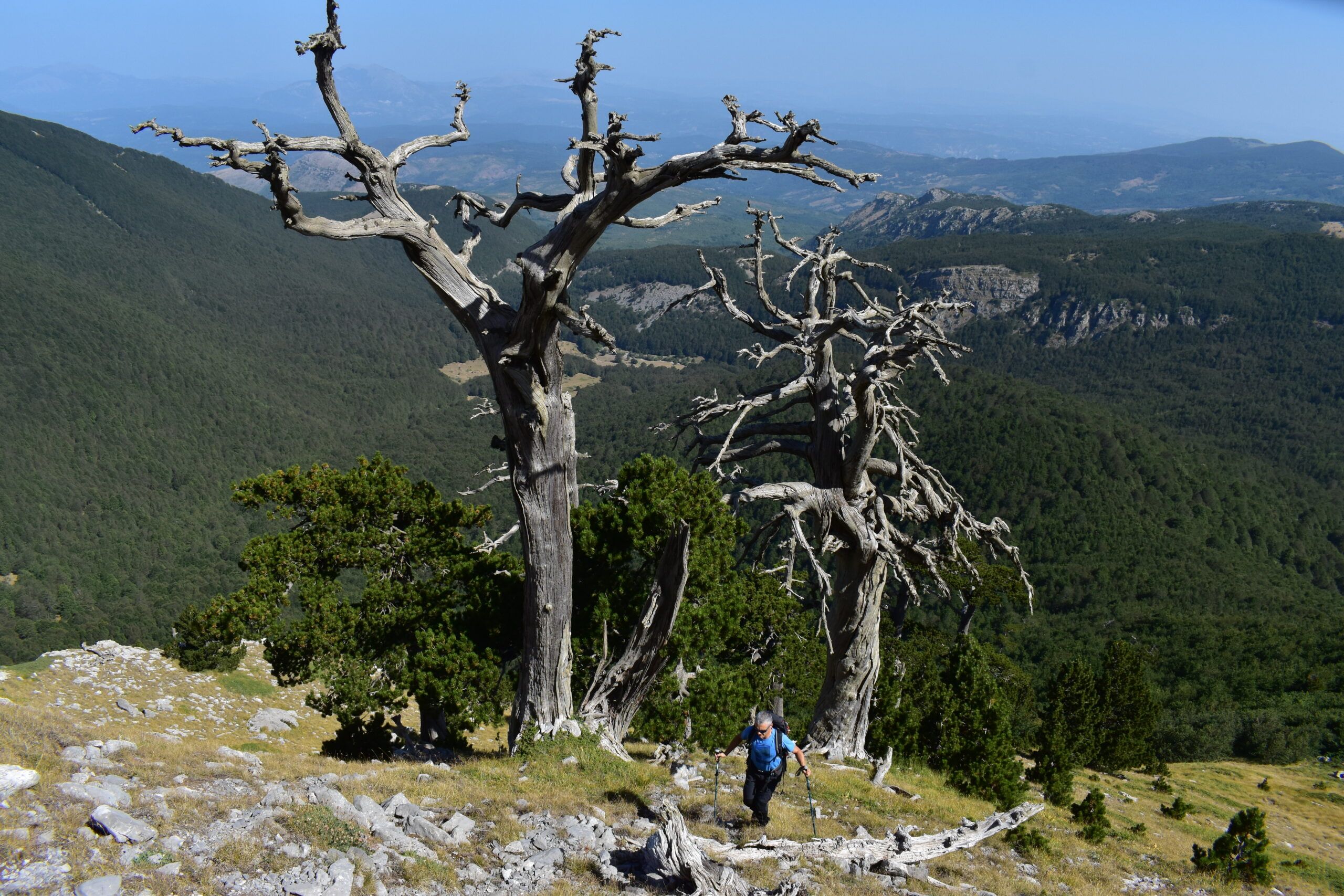 Il Parco del Pollino riparte da un «grande progetto di marketing territoriale»