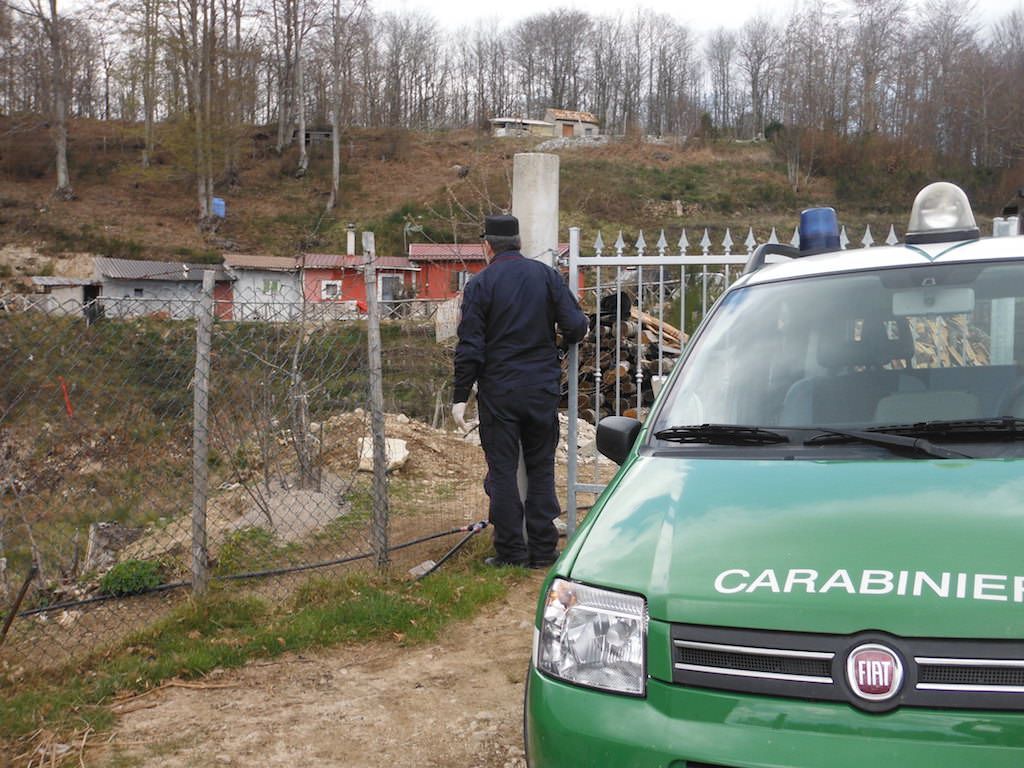 Bosco comunale "colonizzato" da privati: sette denunce a Martone