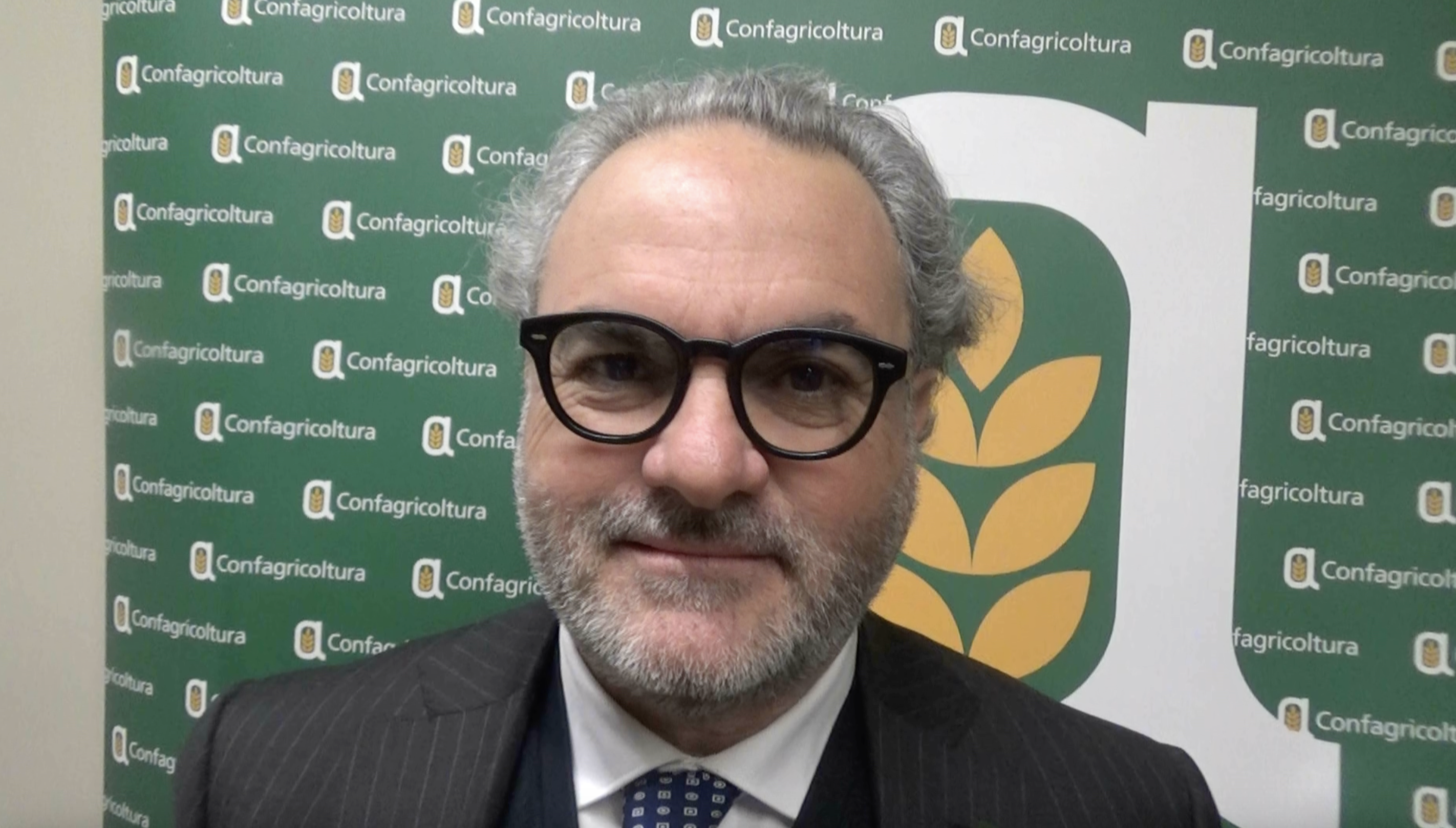 “Energia e agricoltura”, Statti: «In Calabria un enorme patrimonio boschivo, può rivestire un ruolo importante»