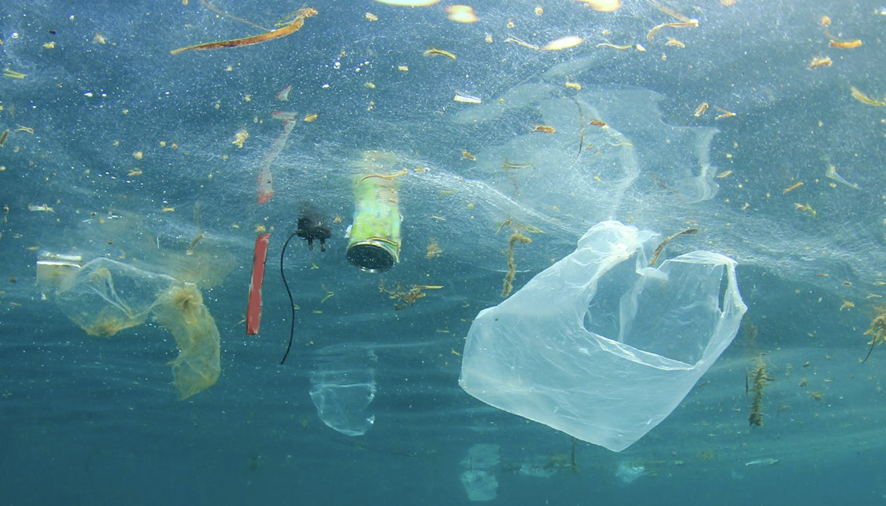 Inquinamento e abusivismo vista mare, la Calabria quarta per reati. Oltre il 50% nelle regioni sotto scacco dei clan – GRAFICI