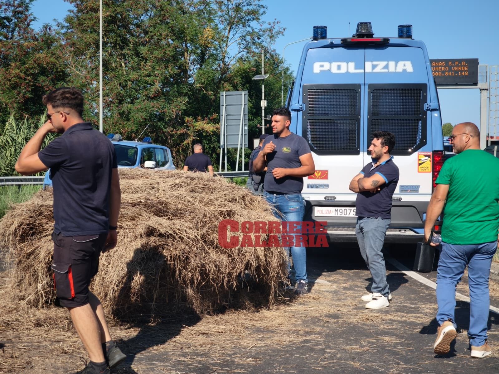 «Ci sono famiglie allo sfascio». La disperazione degli agricoltori calabresi che chiedono aiuto a Mattarella – FOTO