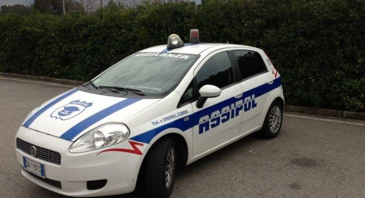 Castrovillari, sventato furto ad azienda vitivinicola