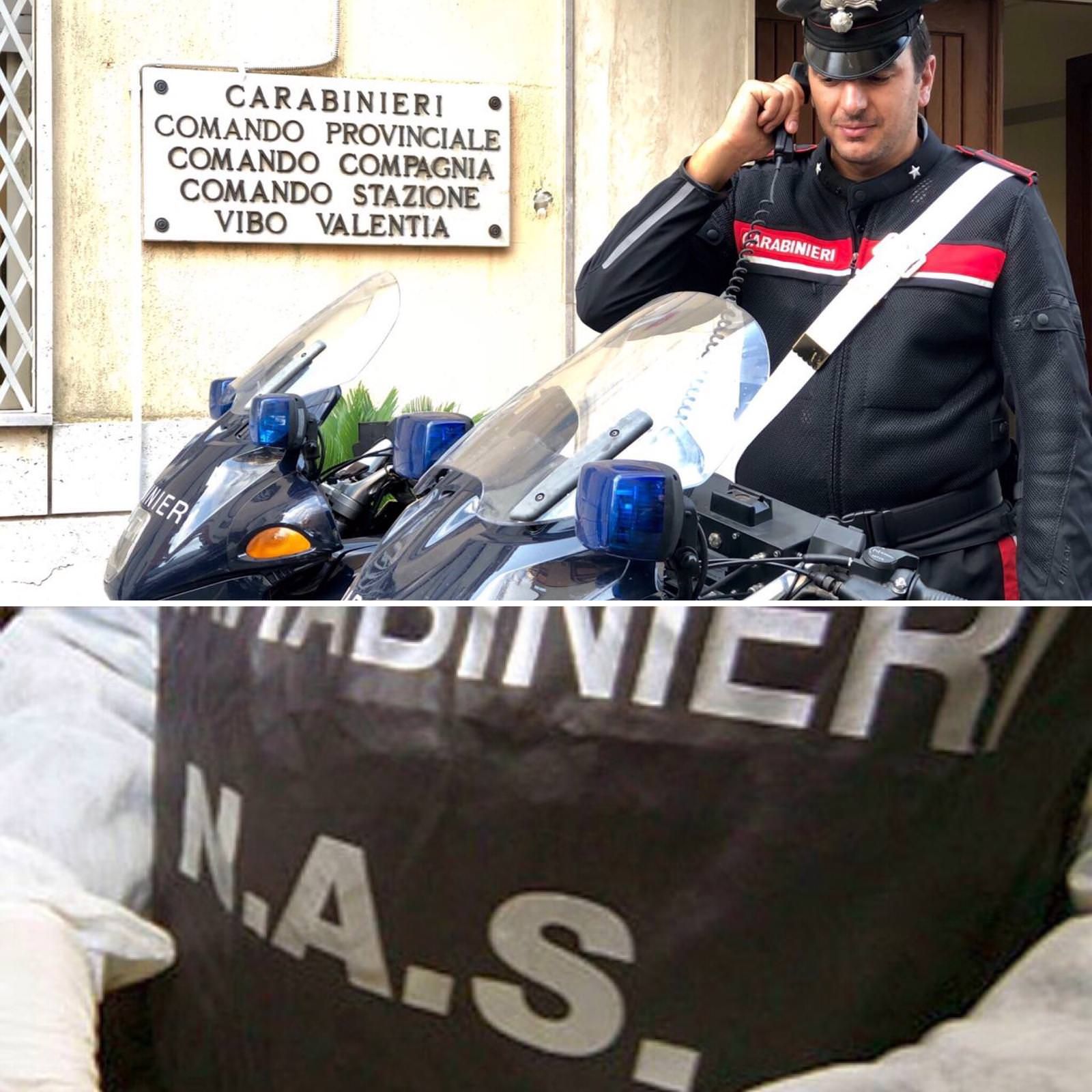 Pesce avariato e mal conservato, sequestri in tutto il vibonese