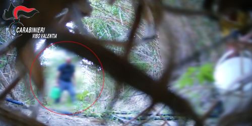 droga arresti vibo reggio procura vv