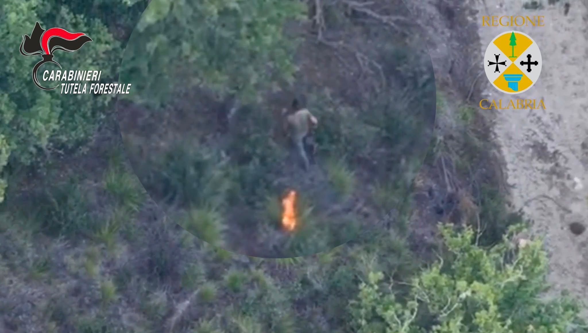 Appicca il fuoco al bosco ma il drone lo riprende in diretta: arrestato un allevatore nel Vibonese – FOTO E VIDEO