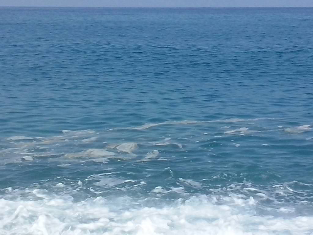 Depurazione, «Rizzo dica quanto costano le multe»