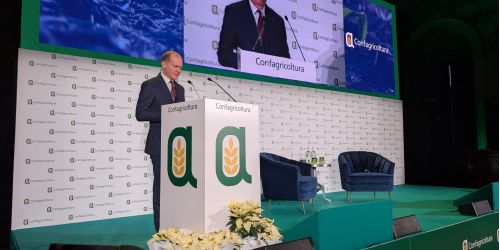 massimiliano_giansanti