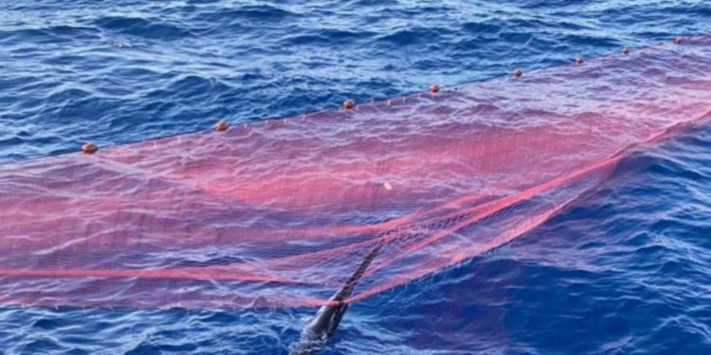 Il mare “stritolato” dalle reti illegali: intervento choc nel Tirreno Cosentino