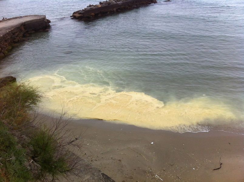 Acqua gialla a Paola, era solo polline