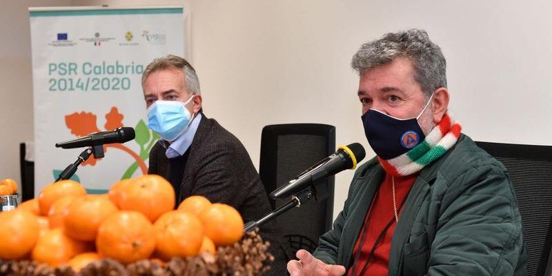 Sviluppo rurale, presentati i bandi agrumicoltura e infrastrutture