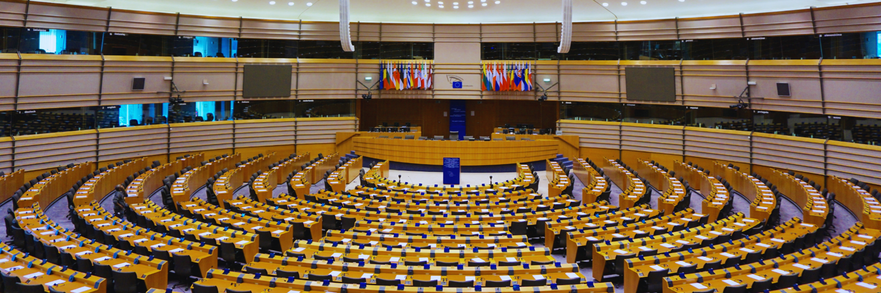 Europee, Gasparri: «Per FI risultato grandioso». Donzelli: «Governo più forte»