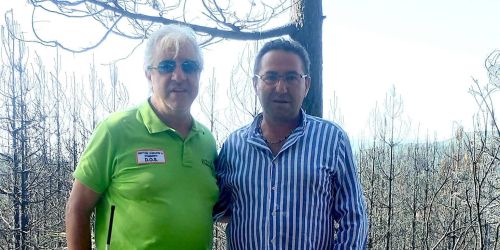 assessore foglia sgf