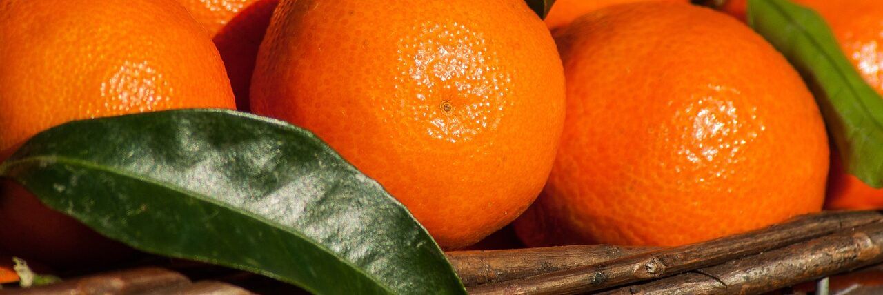 Confagricoltura Donna contro la violenza di genere