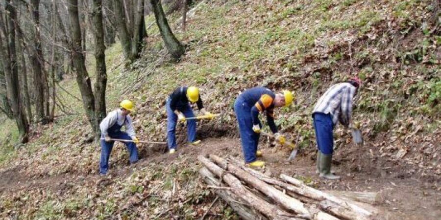 Risorse forestazione, i sindacati: «Serve responsabilità politica e istituzionale»