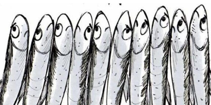 A proposito di “rilevanza” e “irrilevanza” politica