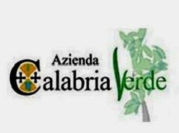 Un non giornalista all'Ufficio stampa di Calabria Verde