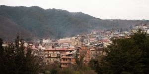 «Viabilità al collasso nelle aree interne»: il grido d’allarme di Confagricoltura Reggio Calabria