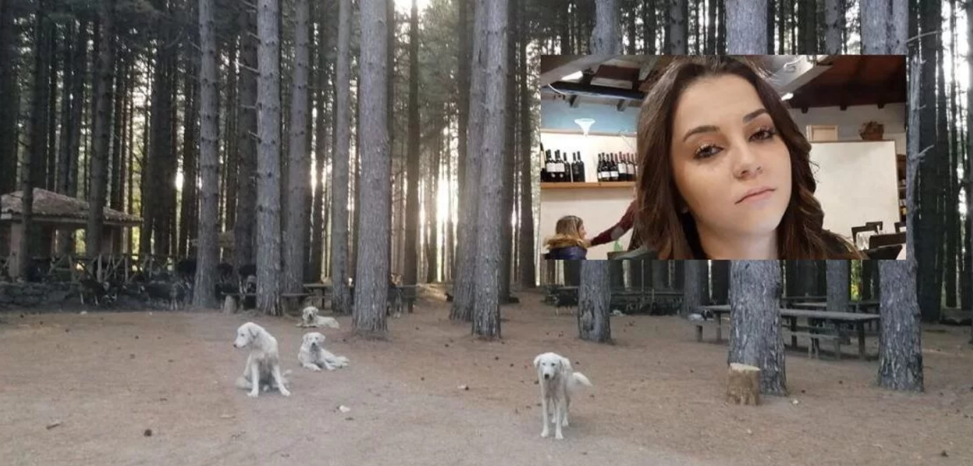 «Che fine hanno fatto i cani che uccisero la ventenne Simona Cavallaro a Satriano?»