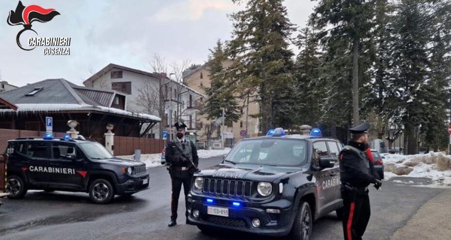 Sgominata la banda dei furti in Sila, in tre finiscono in manette