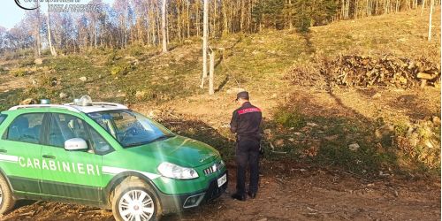 carabinieri tutela forestale longobardi