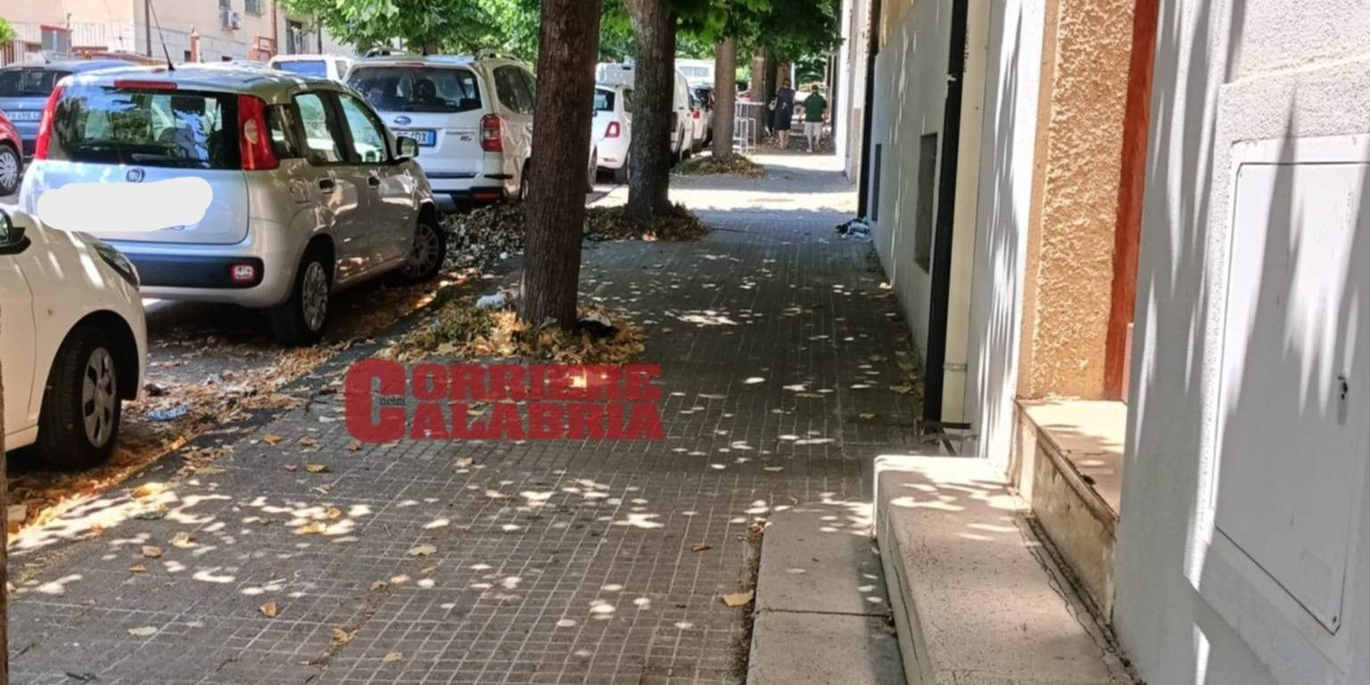 Erbaccia in centro a Cosenza, dopo la segnalazione scatta la bonifica in via Cattaneo
