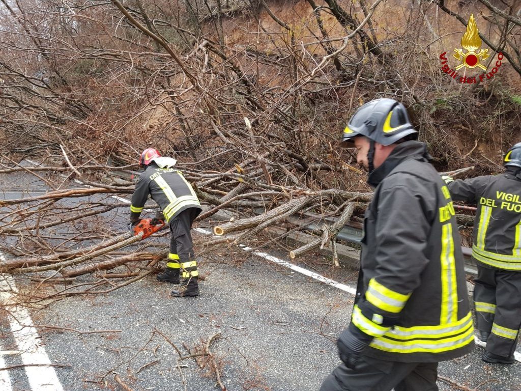 Alberi sulla strada, chiusa la statale 107