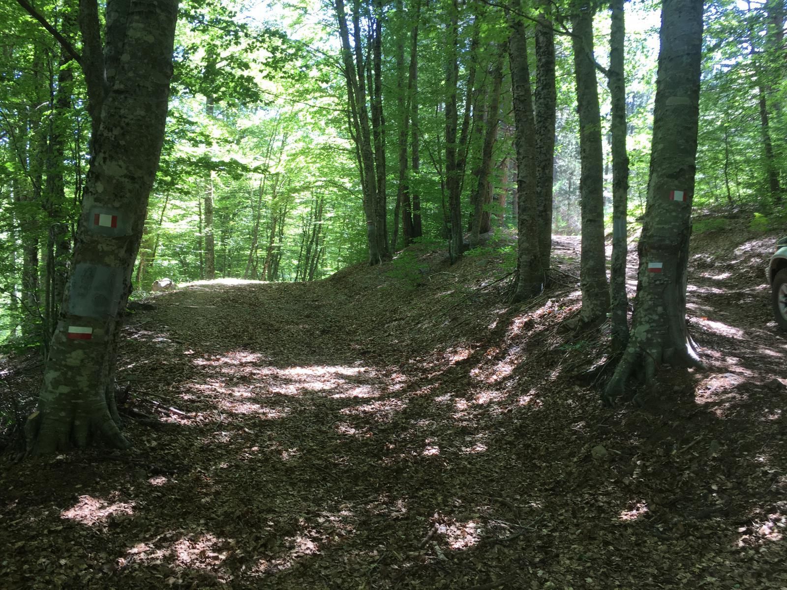 Estate in Aspromonte, l’ente Parco raccomanda prudenza: alcuni sentieri non sono percorribili