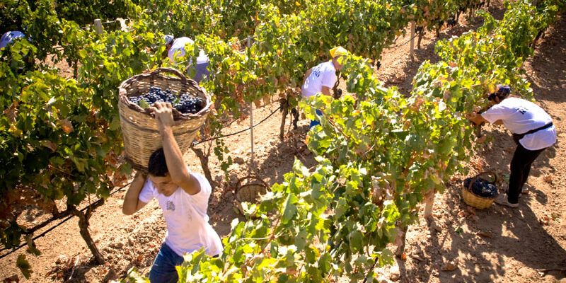 Lavoratori agricoli stagionali esclusi dai “Sostegni”, sindacati in piazza il 30 aprile