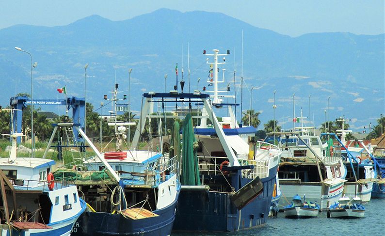 «Il fermo pesca arriva in un periodo sbagliato. E la Calabria non è la Norvegia» – VIDEO