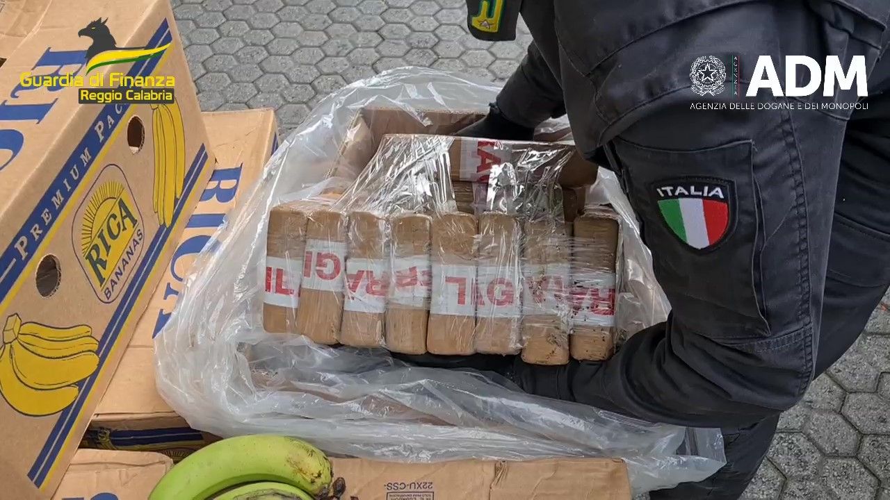 Tonnellate di cocaina nelle casse di banane, ricostruiti i traffici dalla Colombia alla Calabria