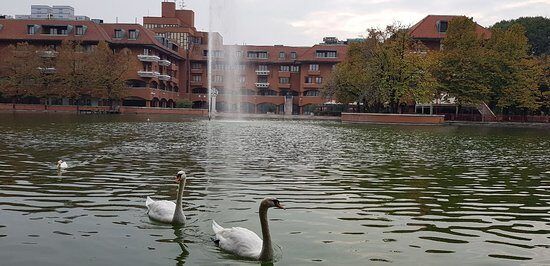 ‘Ndrangheta stragista, il pentito: «Paolo De Stefano doveva avere soldi da “Milano 2”»