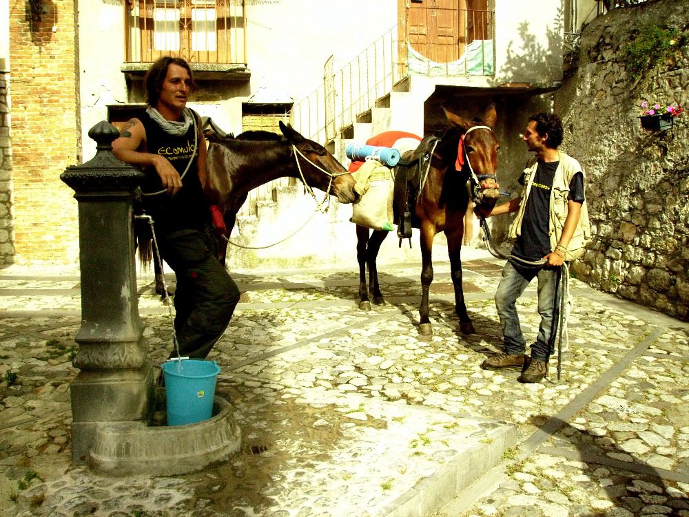 Risalire la Calabria su un (eco)mulo