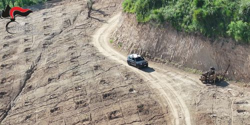 Carabinieri Forestale - sequestro area a Limbadi 2