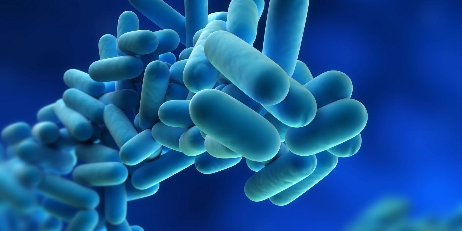 Catanzaro, l’ospedale accerta un caso di legionella: scatta la macchina dei controlli