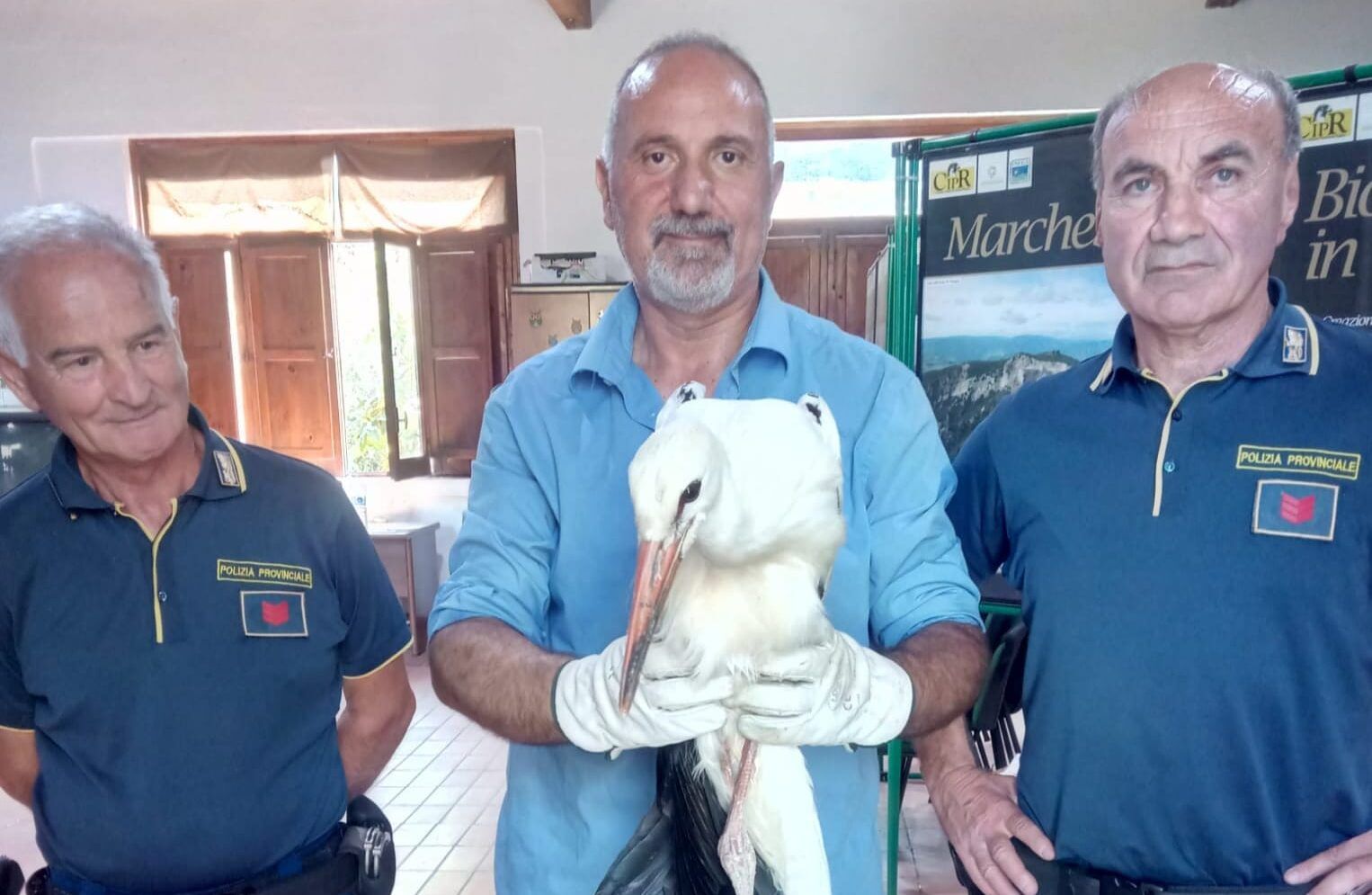 La Polizia Provinciale di Cosenza recupera due cicogne bianche ferite e in difficoltà