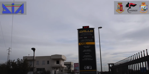 gallo basso profilo gallo basso profilo gallo basso profilo gallo basso profilo gallo basso profilo gallo basso profilo