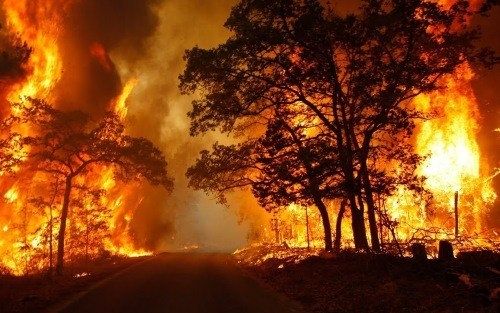 Calabria assediata dagli incendi, evacuate tre famiglie nel Cosentino